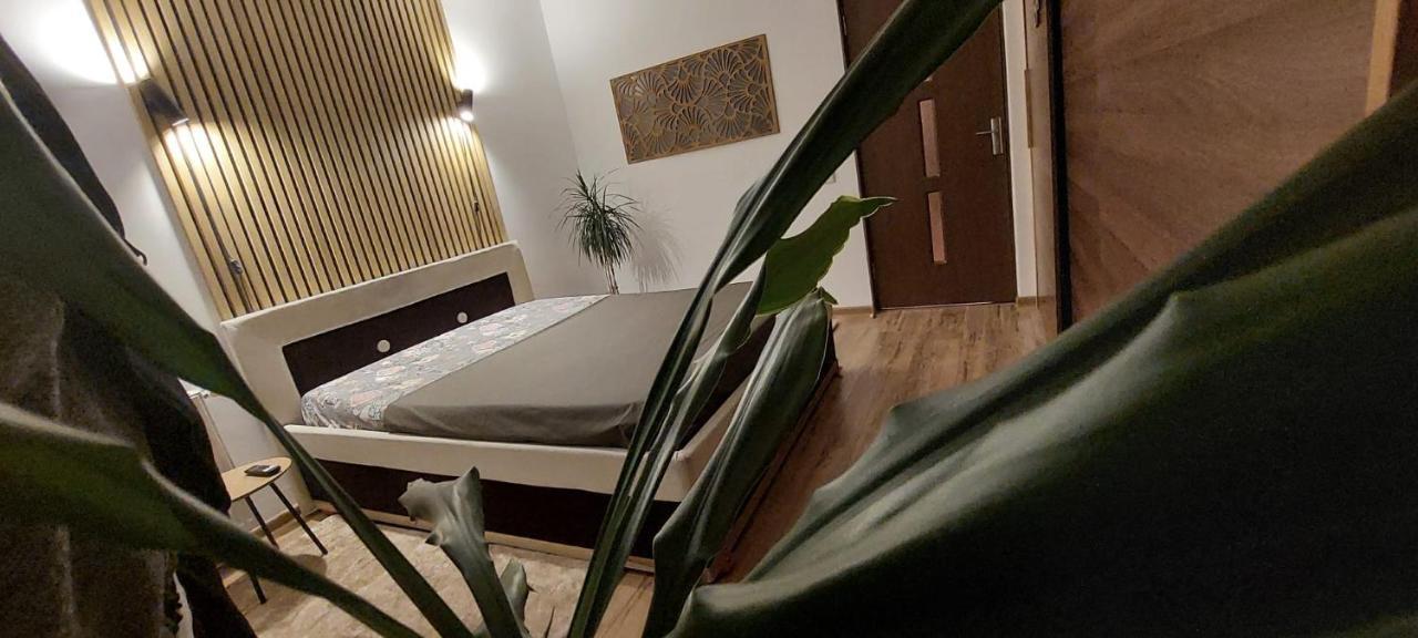 Art House Apartment Floresti  Ngoại thất bức ảnh